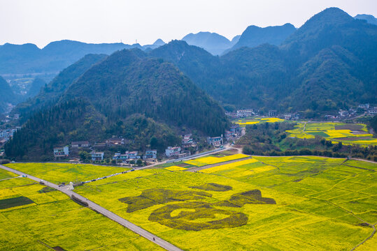 春天田野