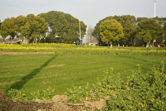 田园风光