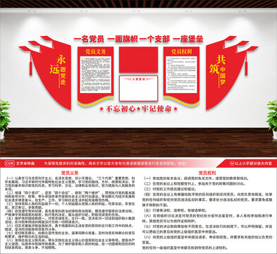黨員權(quán)利與義務(wù)