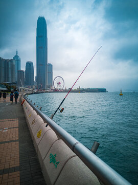 维港钓鱼风景