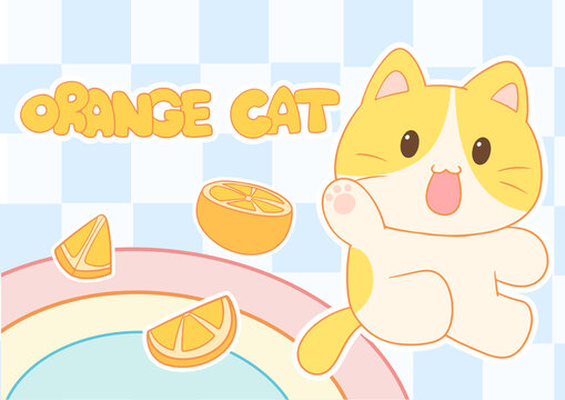 橘子猫咪