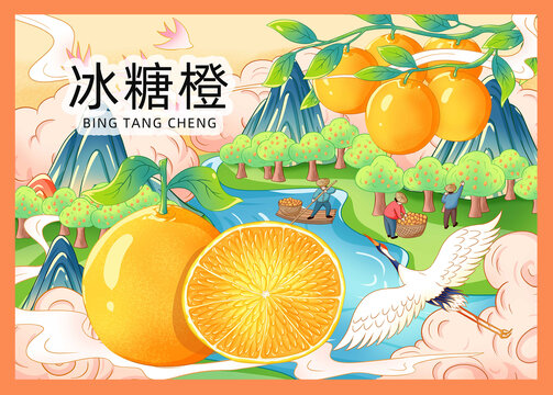 冰糖橙插畫手繪