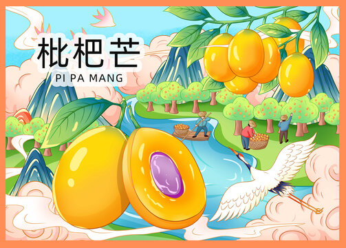 枇杷芒插畫手繪