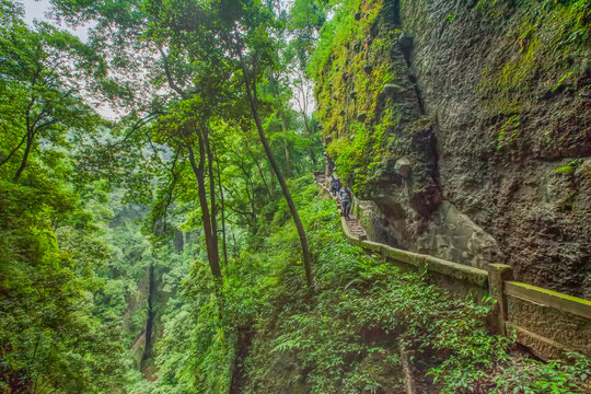 青城山登山步道