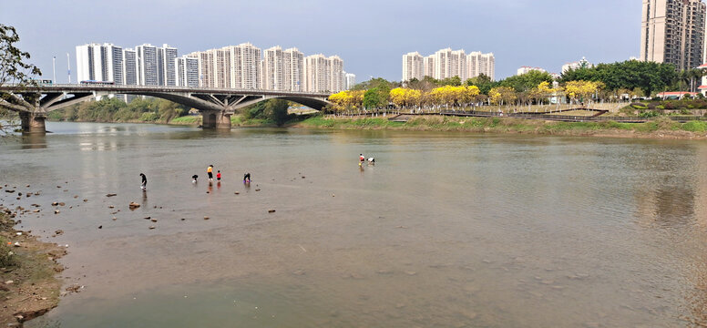 风景