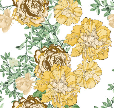 大黃花