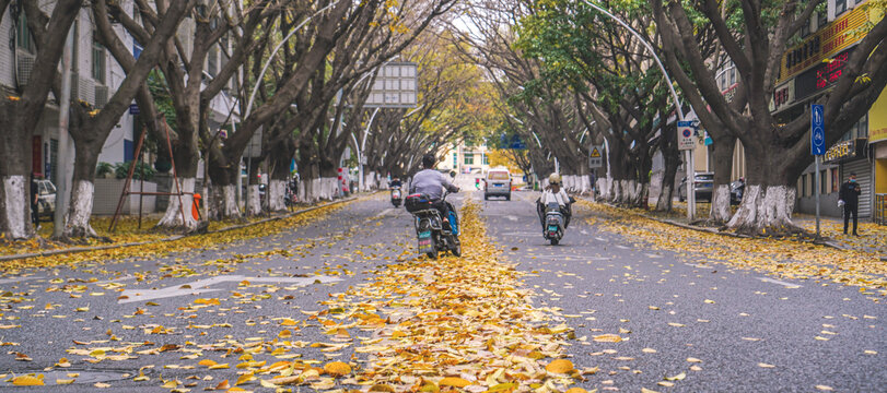 晋江崇德路