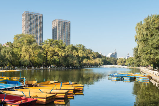 秋天中国辽宁抚顺劳动公园风景