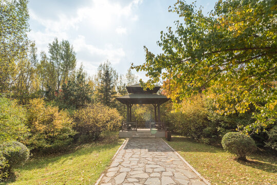 秋天中国辽宁沈阳自然风景