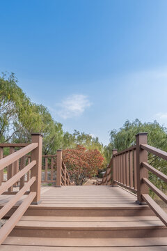 秋天中国辽宁沈阳鸟岛风景区