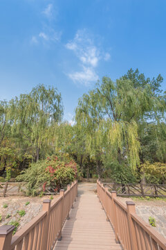 秋天中国辽宁沈阳鸟岛风景区