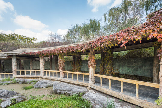 秋天中国辽宁沈阳鸟岛风景区