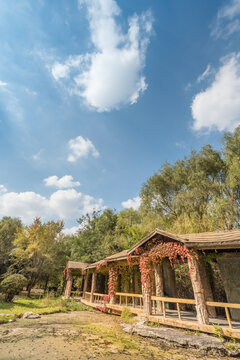 秋天中国辽宁沈阳鸟岛风景区