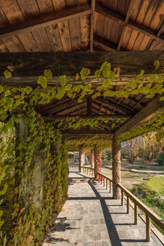 秋天中国辽宁沈阳鸟岛风景区