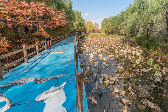 秋天中国辽宁沈阳鸟岛风景