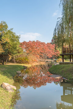 秋天中国辽宁沈阳鸟岛风景区