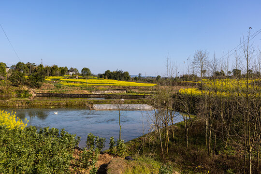 美丽乡村