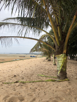 海边风景