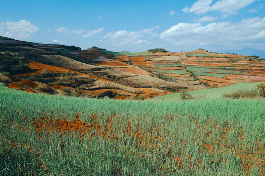 东川红土地红土大观