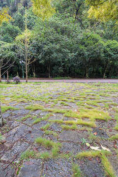 中国桂林阳朔风景