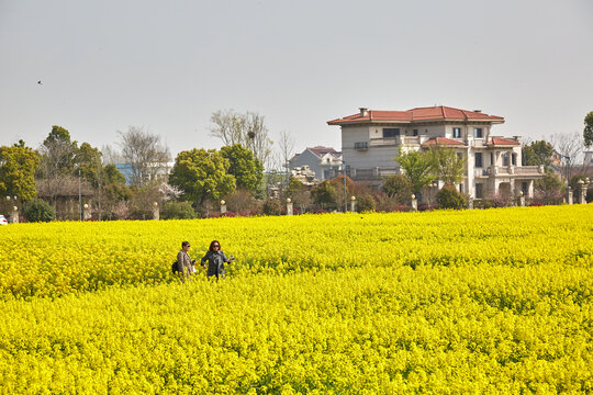 安徽省芜湖市鸠江区白茆镇