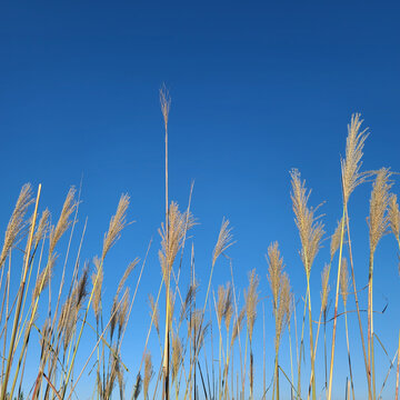 冬日晴空