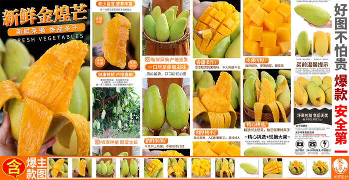 金煌芒詳情頁主圖