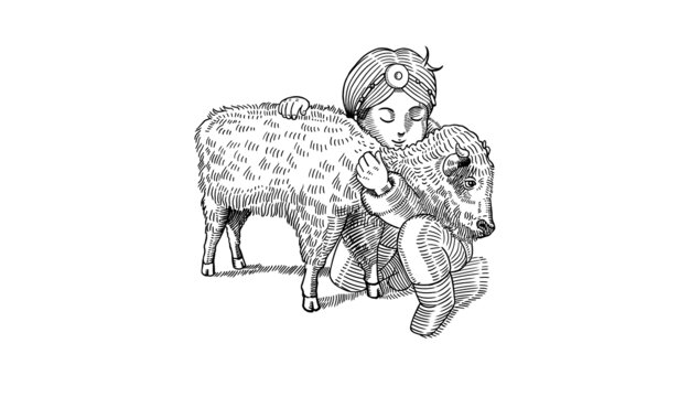 藏族小姑娘抱着牦牛单色