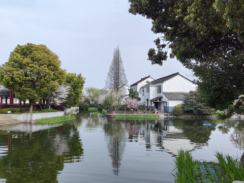 江南农村美丽乡村建设