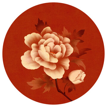 牡丹插畫(huà)