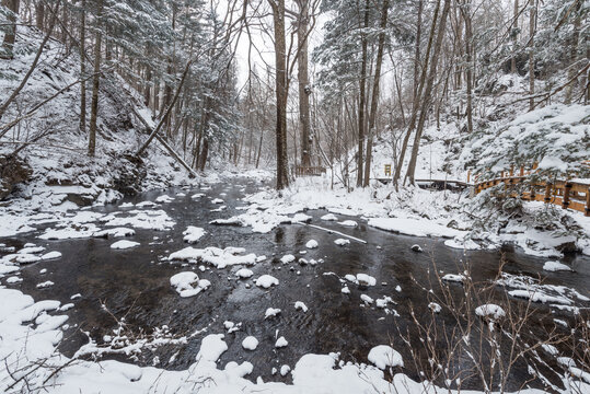 冬季长白山的雪地树林冰河