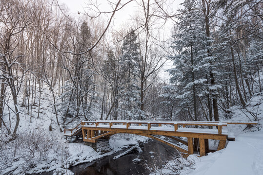 冬季长白山的雪地树林冰河