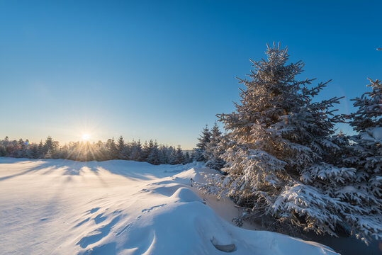 冬季长白山的雪地和雾凇