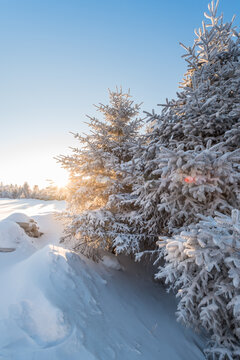 冬季长白山的雪地和雾凇