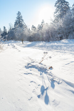 冬季长白山的雪地和雾凇