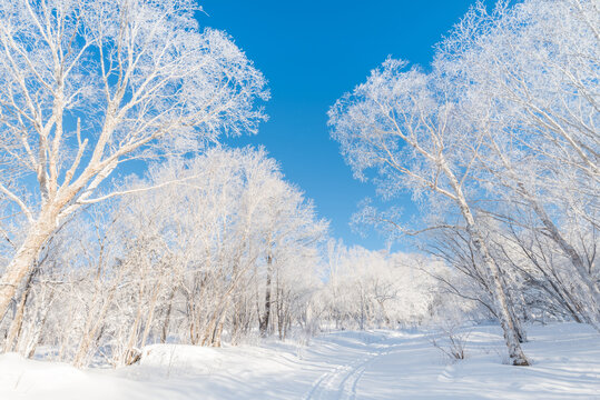 冬季长白山的雪地和雾凇