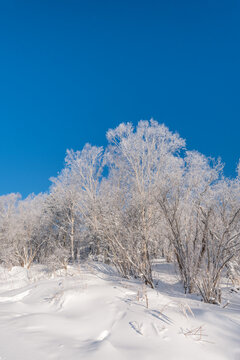 冬季长白山的雪地和雾凇