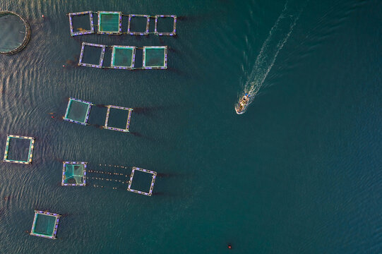 网箱养殖渔业鱼排渔排渔船航拍