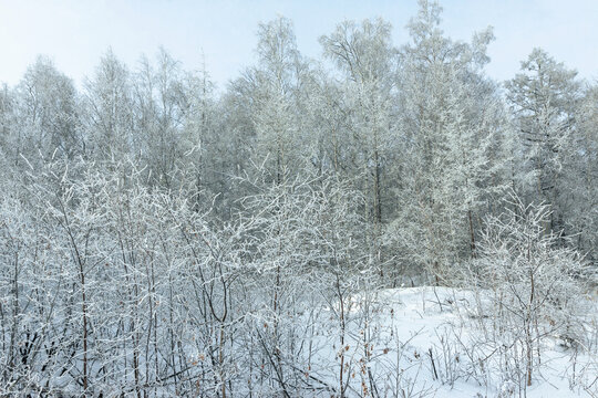 冬季森林雾凇积雪