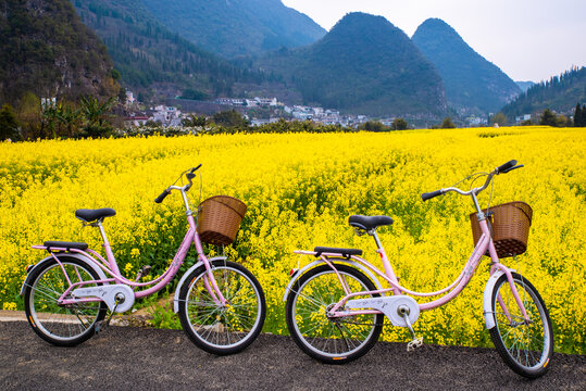 油菜花田园风景