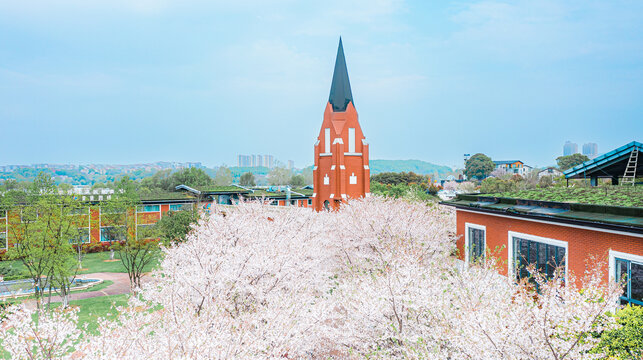 岳阳花语世界樱花园