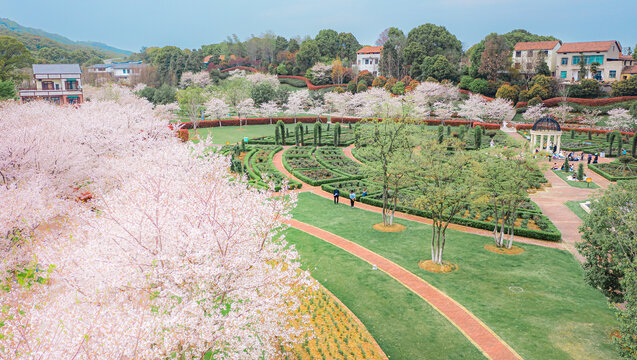 岳阳花语世界樱花园