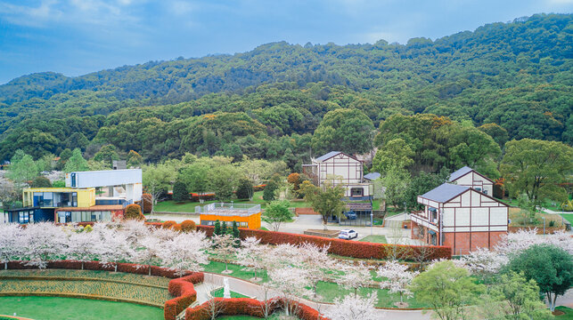 岳阳花语世界樱花园