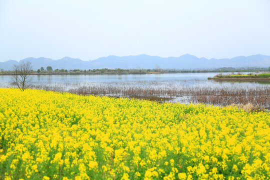 田园风景画