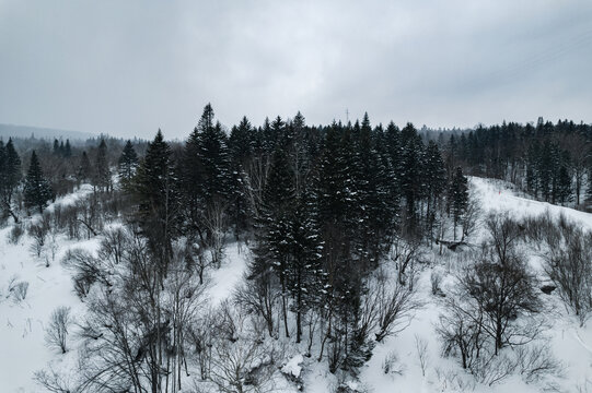 黑龙江东北雪乡林海雪原森林