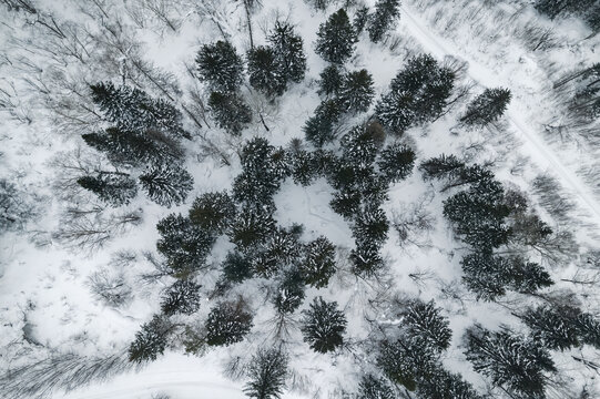 黑龙江东北雪乡林海雪原森林