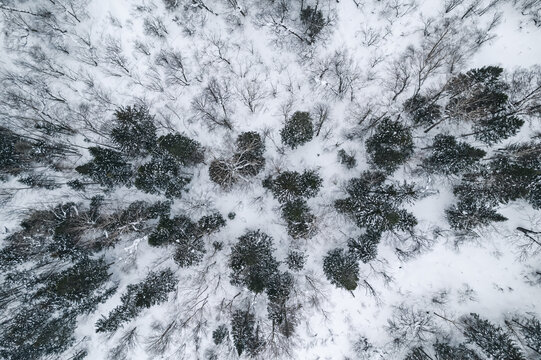 林海雪原森林航拍