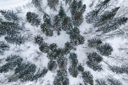 东北林海雪原森林航拍