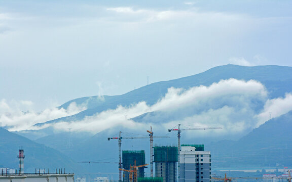 高山云雾