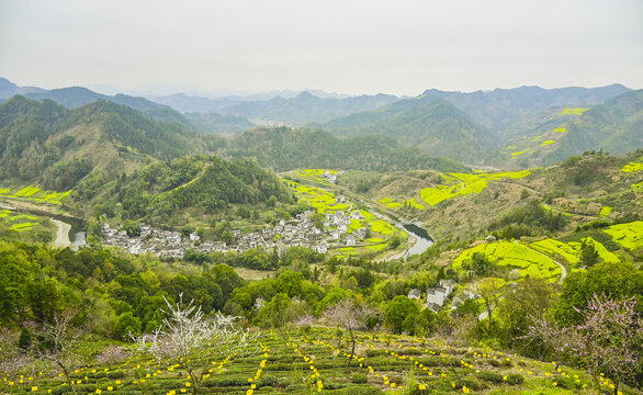 歙县石潭村油菜花